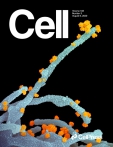 Cell