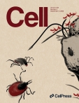 Cell