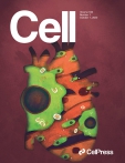 Cell