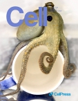Cell