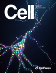 Cell