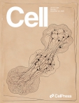Cell
