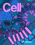 Cell