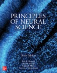 Principles of Neural...