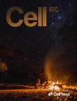 Cell