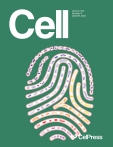 Cell