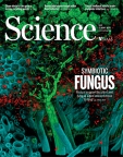 Science 