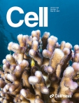 Cell
