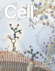 Cell