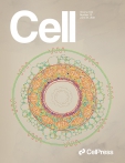 Cell