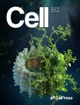 Cell 