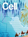 Cell