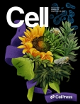 Cell
