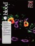 Blood