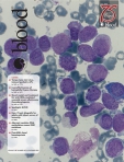 Blood
