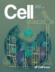 Cell