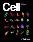 Cell