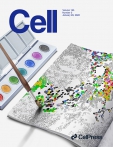 Cell