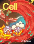 Cell