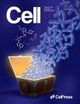 Cell