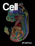 Cell 