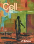 Cell