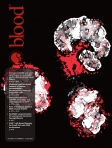 Blood