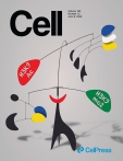 Cell 