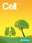 Cell