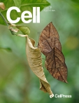 Cell