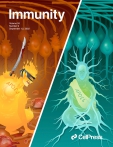 Cell Immunity