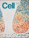 Cell