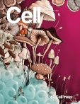 Cell