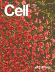 Cell 