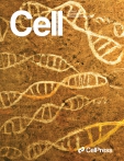 Cell