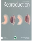 Reproduction