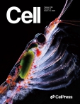 Cell – Immunity