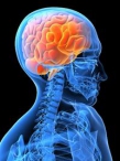DENÍK.cz: Alzheimerovu nemoc má v Česku 140 tisíc lidí, národní plán péče není
