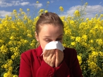 Odborníci: V roce 2025 bude polovina obyvatel EU trpět alergií