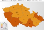 V ČR přetrvává plošná chřipková epidemie