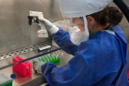 Potrestaná lékařka vyvinula vlastní test. Je zdarma a zájem o něj mají v USA