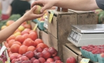 Od pondělí se obnoví farmářské trhy, řemesla, vysokoškolské zkoušky i malé svatby
