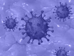 MOLEKULÁRNÍ GENETIK PAČES: HLAVNÍ OTÁZKA JE, JAK SI NA SEBE VIRUS A ČLOVĚK JAKO DRUH ZVYKNOU
